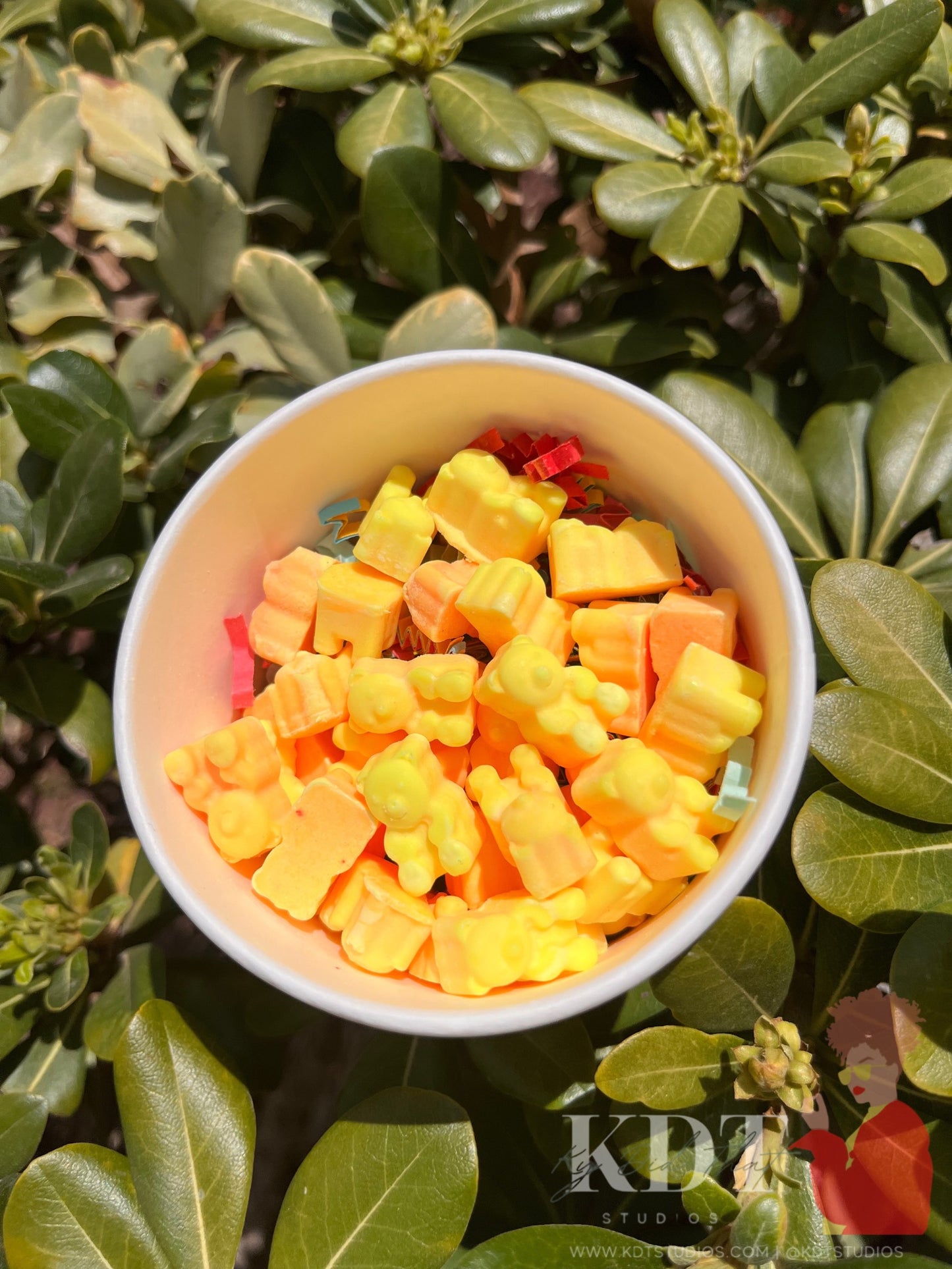 Yummy Gummy Bears | Coconut Soy Wax Melts | NOT REAL FOOD | DO NOT EAT